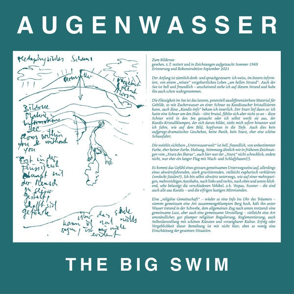 The Big Swim Vinyl Record