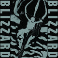 Blizzard Vinyl Record
