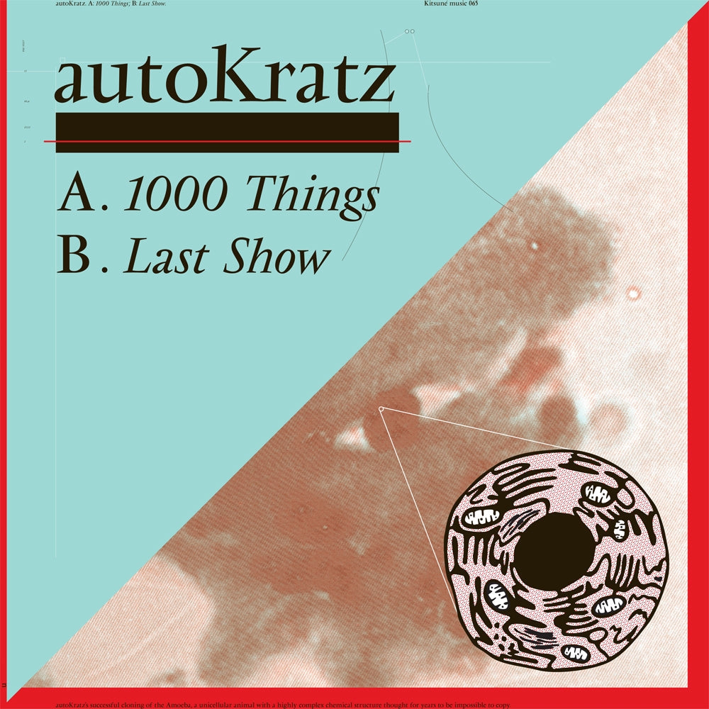 1000 Things Vinyl Record