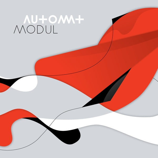 Modul Vinyl Record