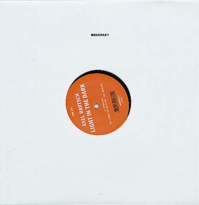 Light in the Dark Vinyl Record