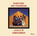 Levels Of Consciousness Vinyl Record