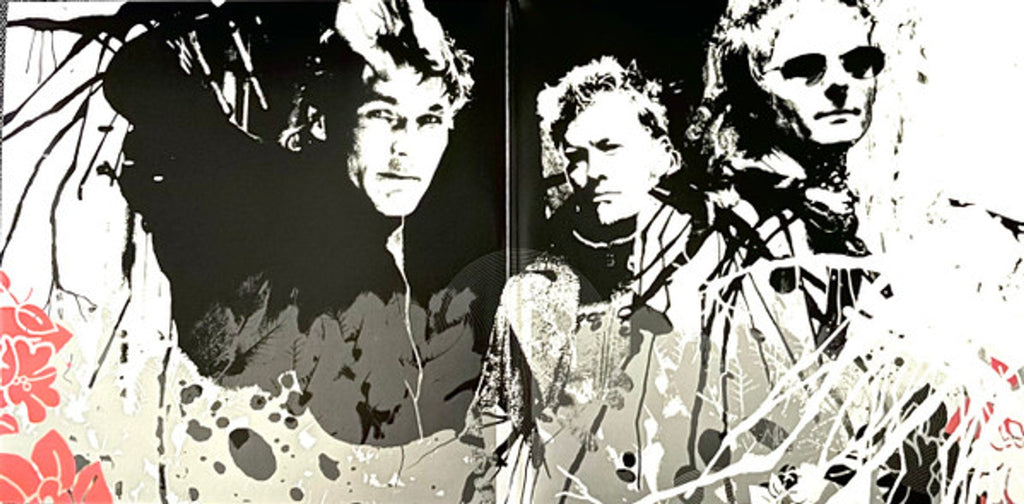 A-Ha – Analogue 20th Anniversary Deluxe Edition (2-LP Vinyl) Vinyl Record