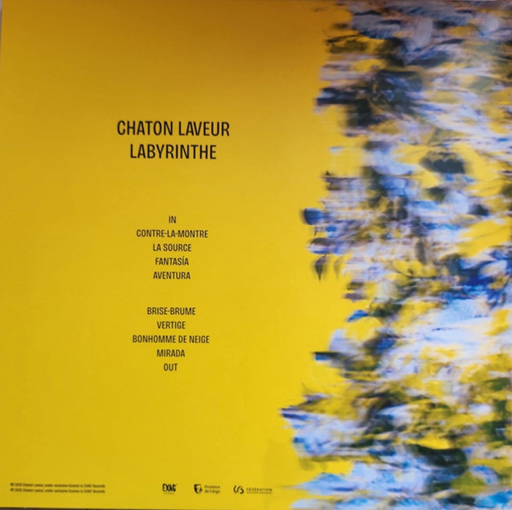 Chaton Laveur – Labyrinthe (LP Vinyl) Vinyl Record