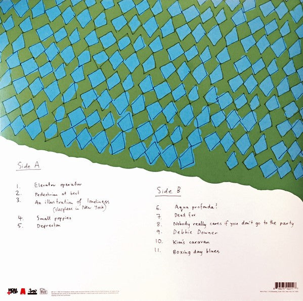 Courtney Barnett – Sometimes I Sit And Think, And Sometimes I Just Sit (LP Vinyl) Vinyl Record