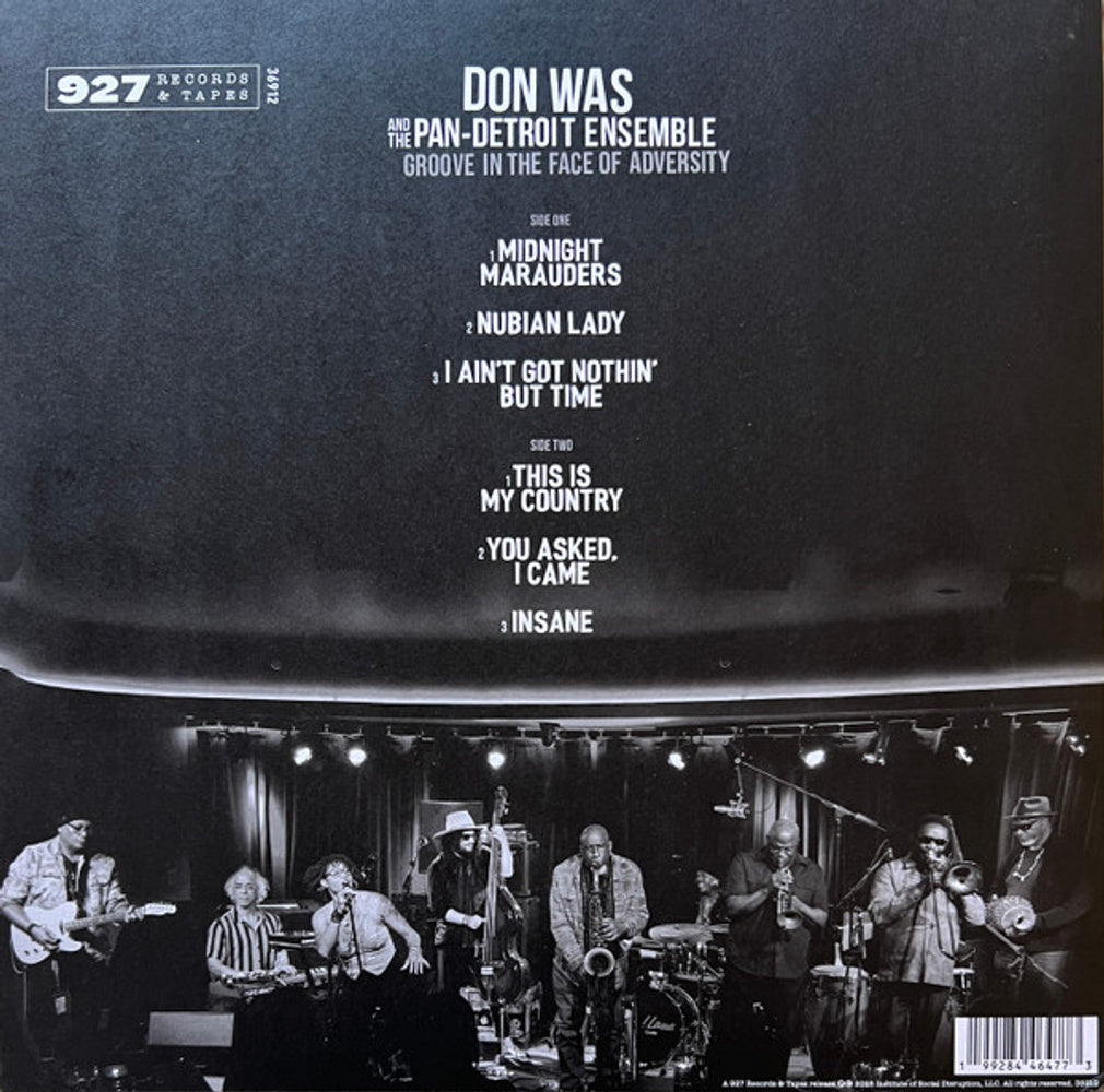Don Was – Groove In The Face Of Adversity (LP Vinyl) Vinyl Record