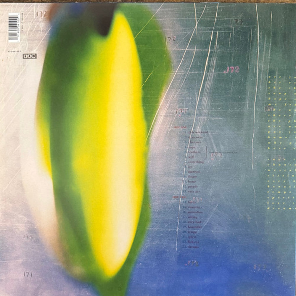 His Name Is Alive – Home Is In Your Head (LP Vinyl) Vinyl Record