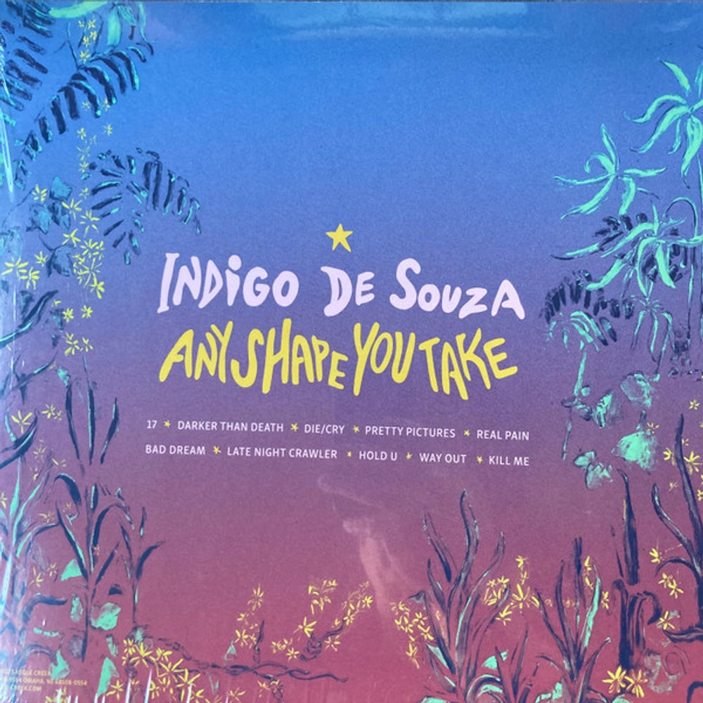Indigo De Souza – Any Shape You Take (LP Vinyl) Vinyl Record