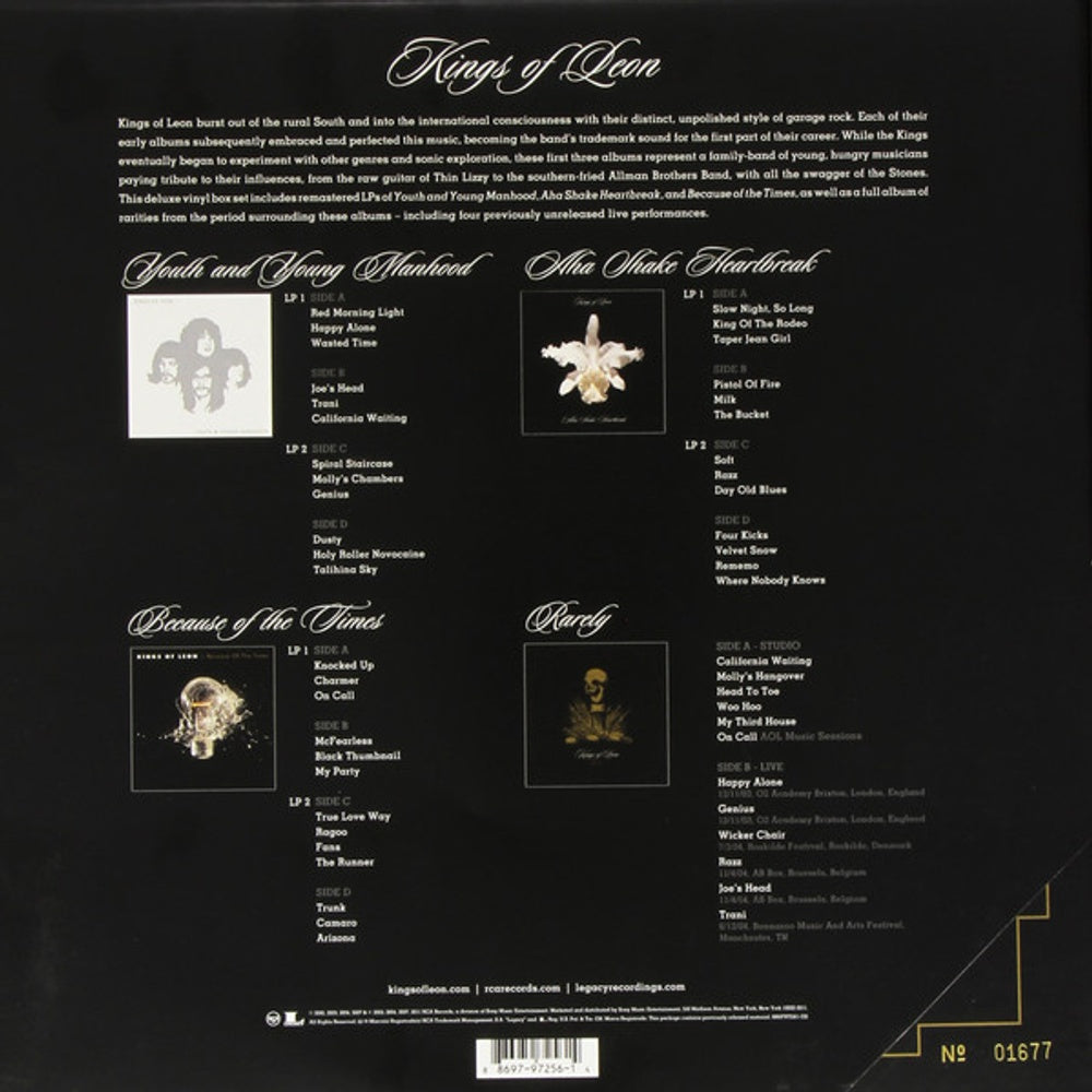 Kings Of Leon – Because Of The Times (2-LP Vinyl) Vinyl Record