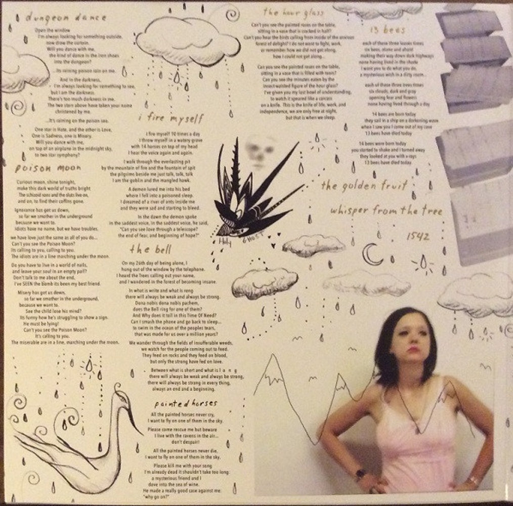 Mary Timony – Mountains (2-LP Vinyl) Vinyl Record