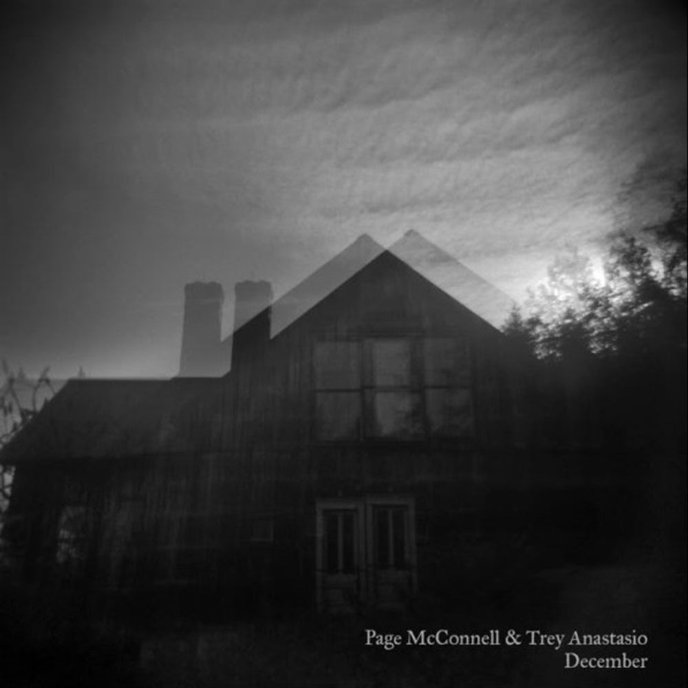 Page McConnell/Trey Anastasio – December (LP Vinyl) Vinyl Record