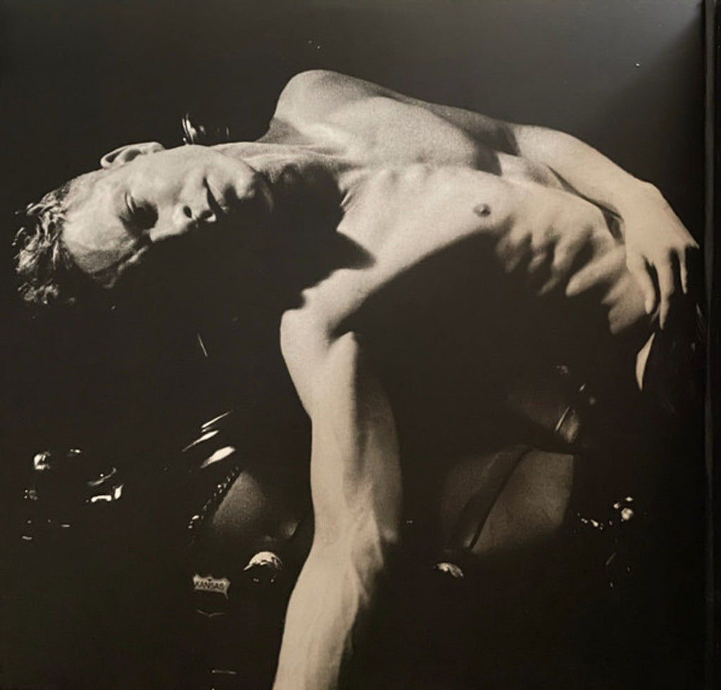 Perfume Genius – Set My Heart On Fire Immediately (2-LP Vinyl) Vinyl Record