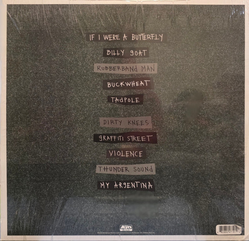 Rayland Baxter – If I Were A Butterfly (LP Vinyl) Vinyl Record