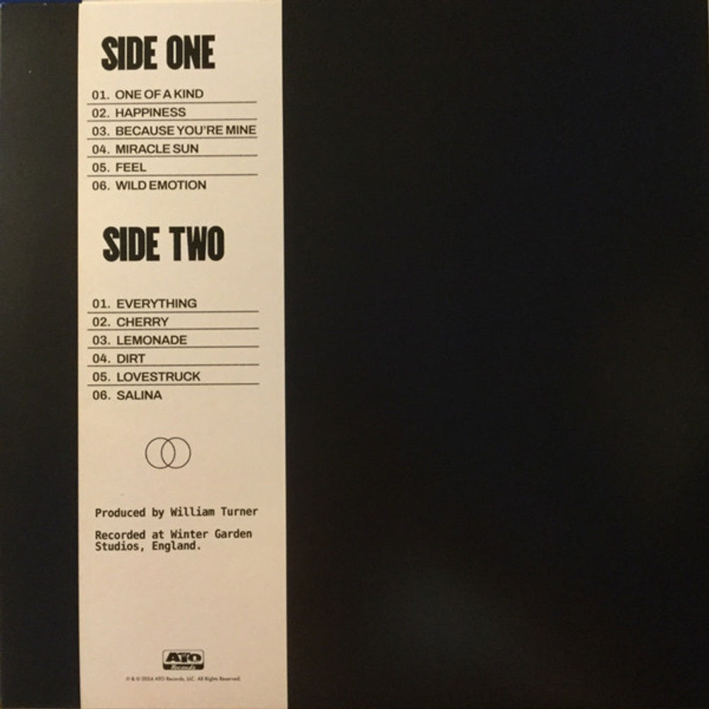 The Heavy Heavy – One Of A Kind (LP Vinyl) Vinyl Record
