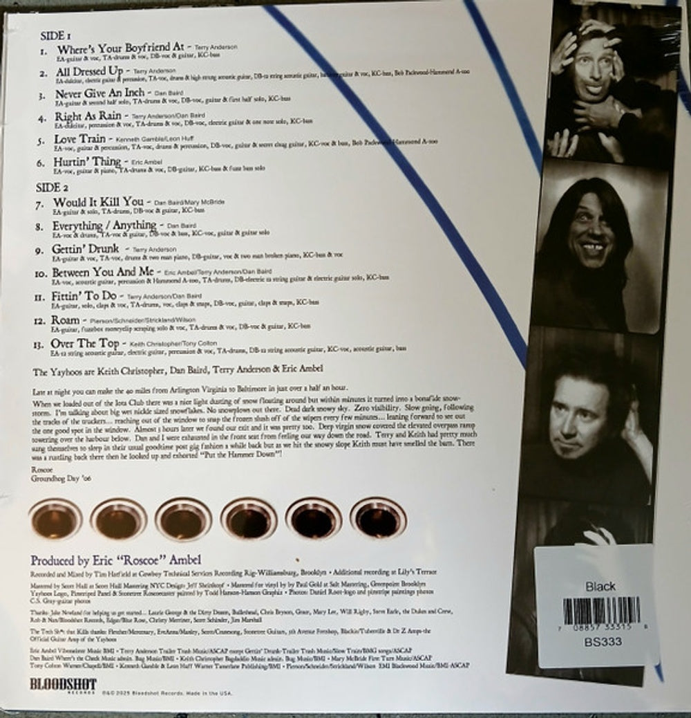 The Yayhoos – Put The Hammer Down (LP Vinyl) Vinyl Record
