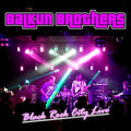 Black Rock City Live Vinyl Record