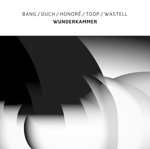 Wunderkammer Vinyl Record