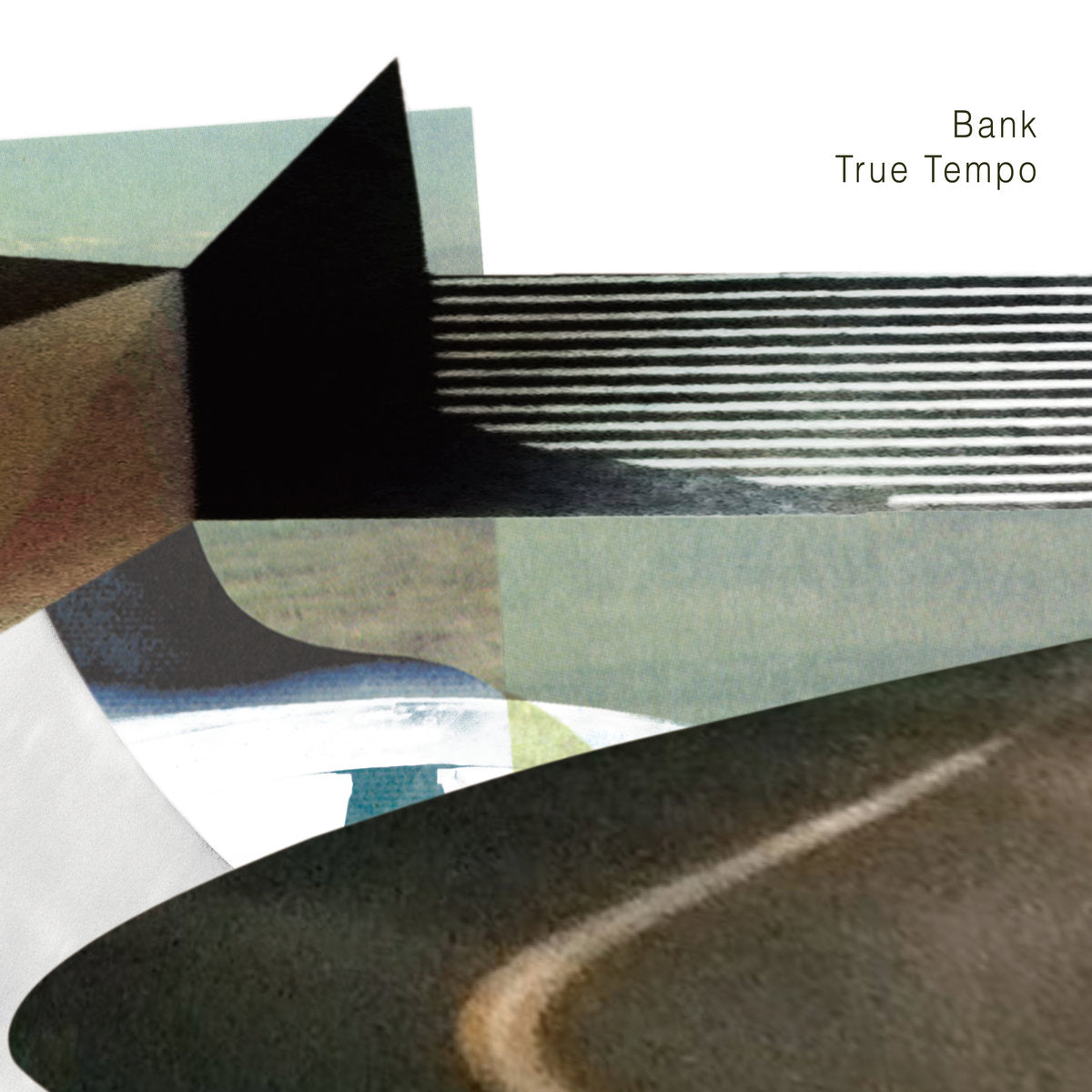 True Tempo Vinyl Record