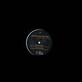 Come To Berlin (Remixes) Vinyl Record