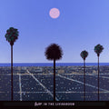 Moon & Palms Vinyl Record