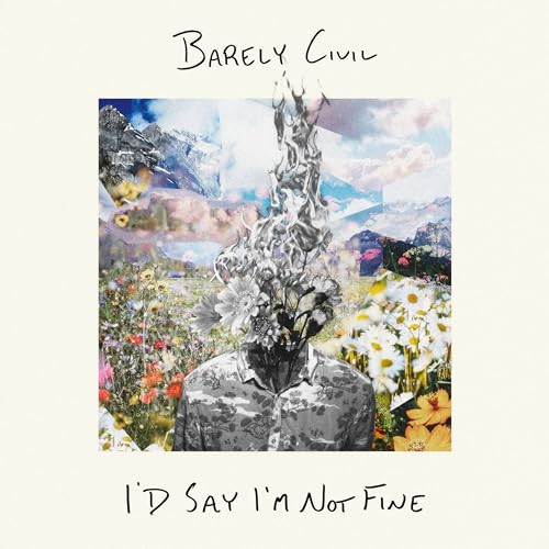I’d Say I’m Not Fine Vinyl Record