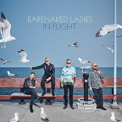 In Flight Vinyl Record