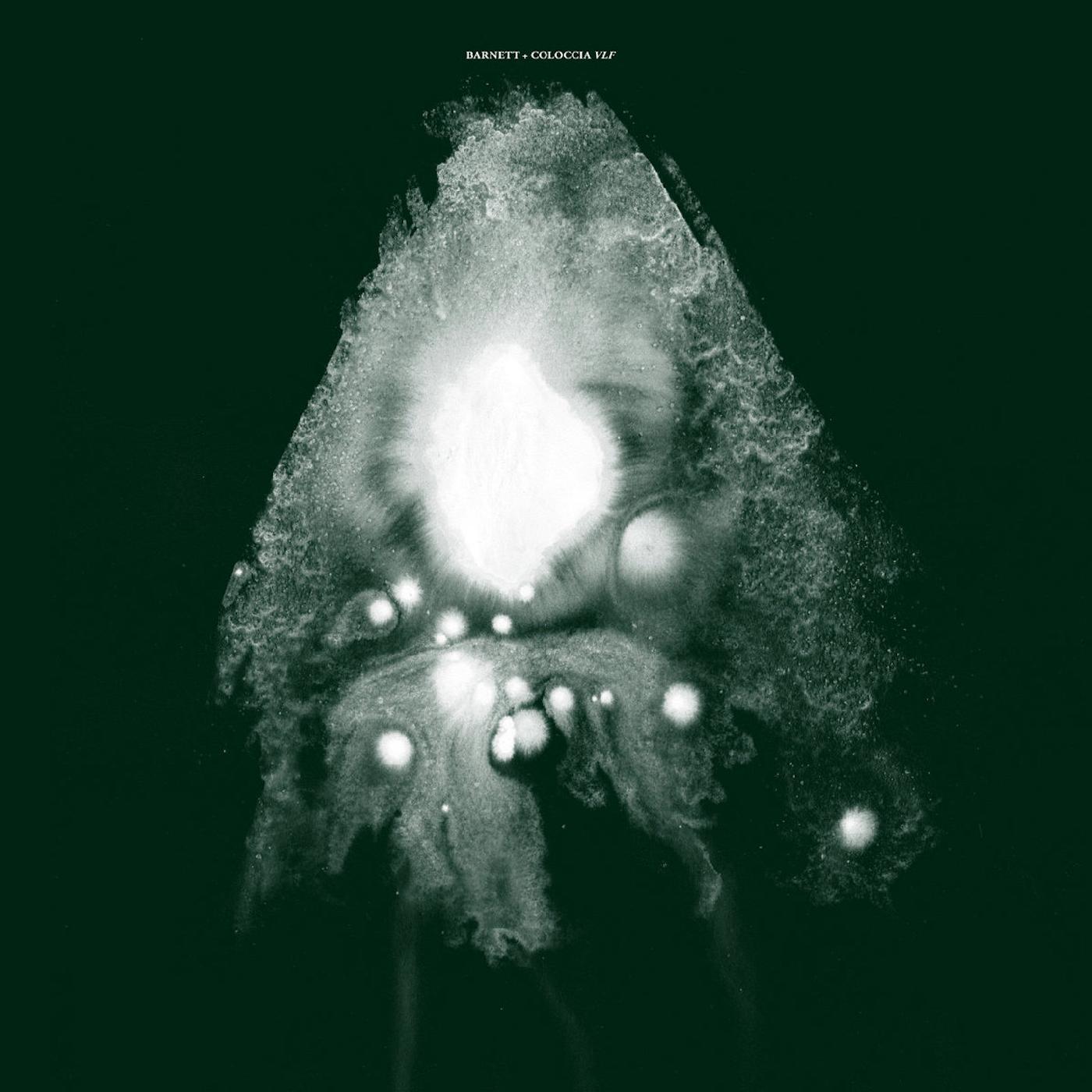 VLF Vinyl Record