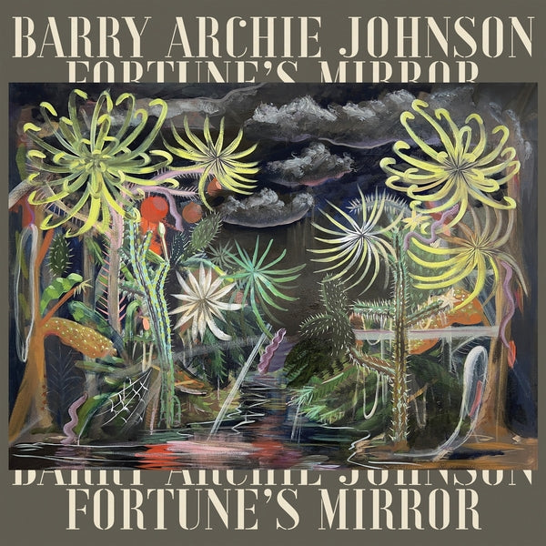 Fortune'S Mirror Vinyl Record