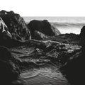 Ocean Death | Mint (M) Mint (M)