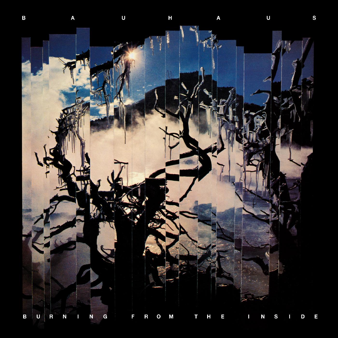 Burning From The Inside Music CD