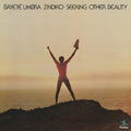 Seeking Other Beauty (All-Analog) (Plasma Vinyl) Vinyl Record
