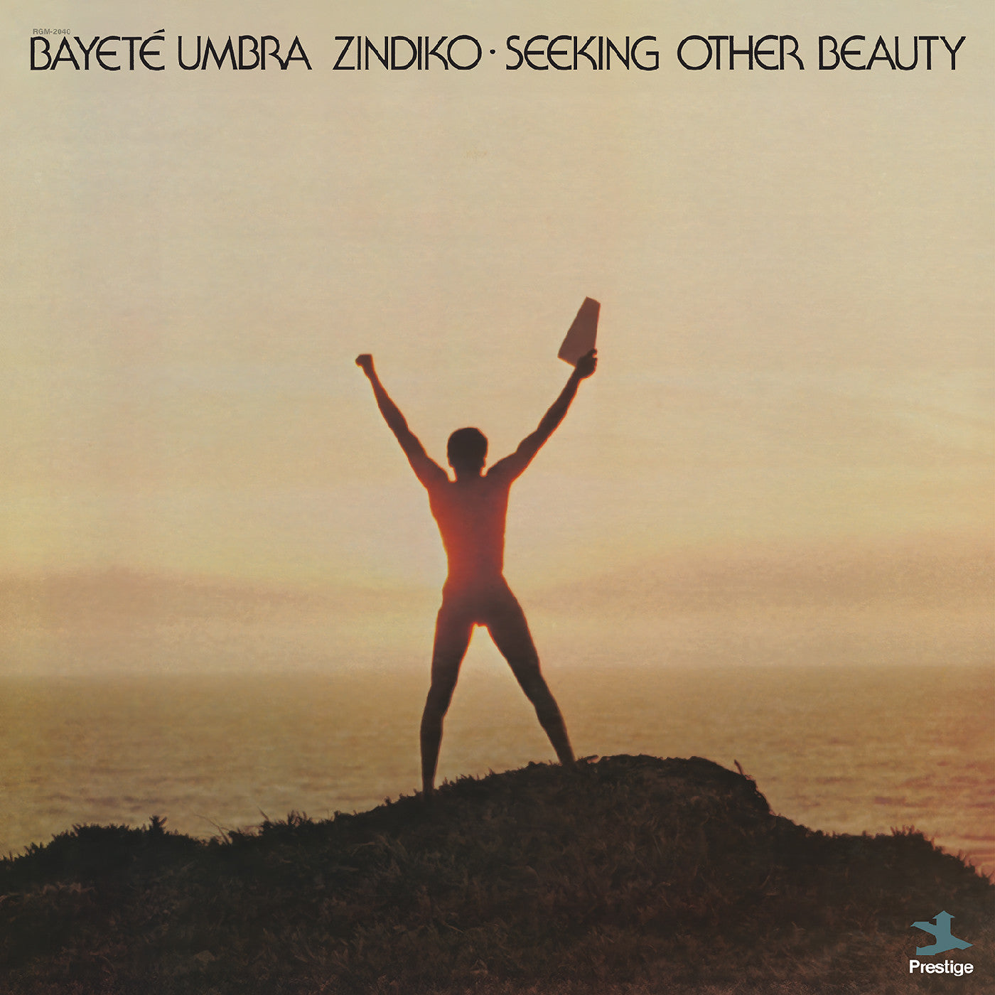 Seeking Other Beauty (All-Analog) |