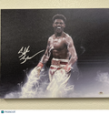 Shakur Stevenson Signed Canvas PSA Autographed Boxing