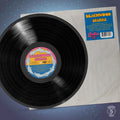 Dolphin Dance Remix '12 Vinyl Record