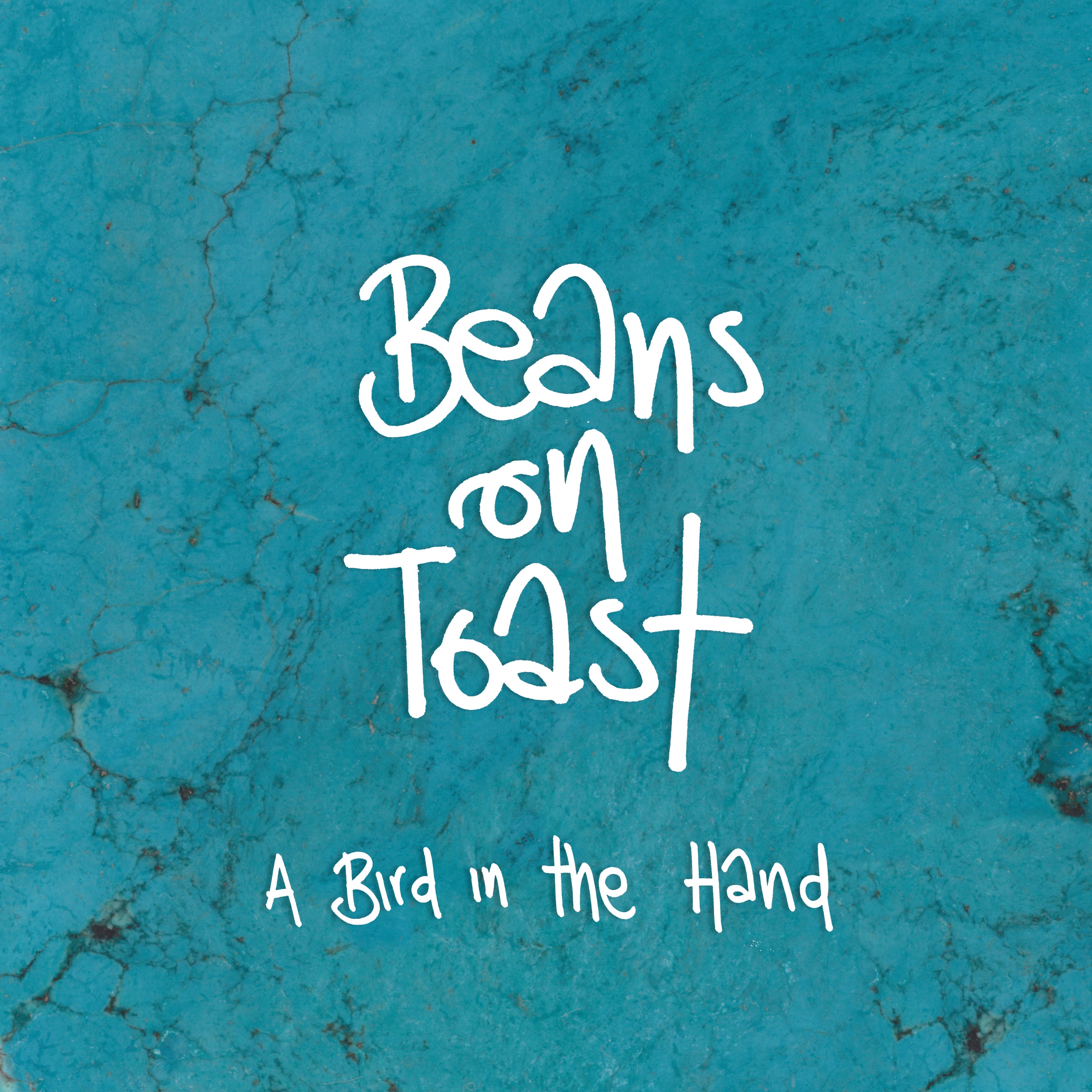 A Bird In The Hand Music CD