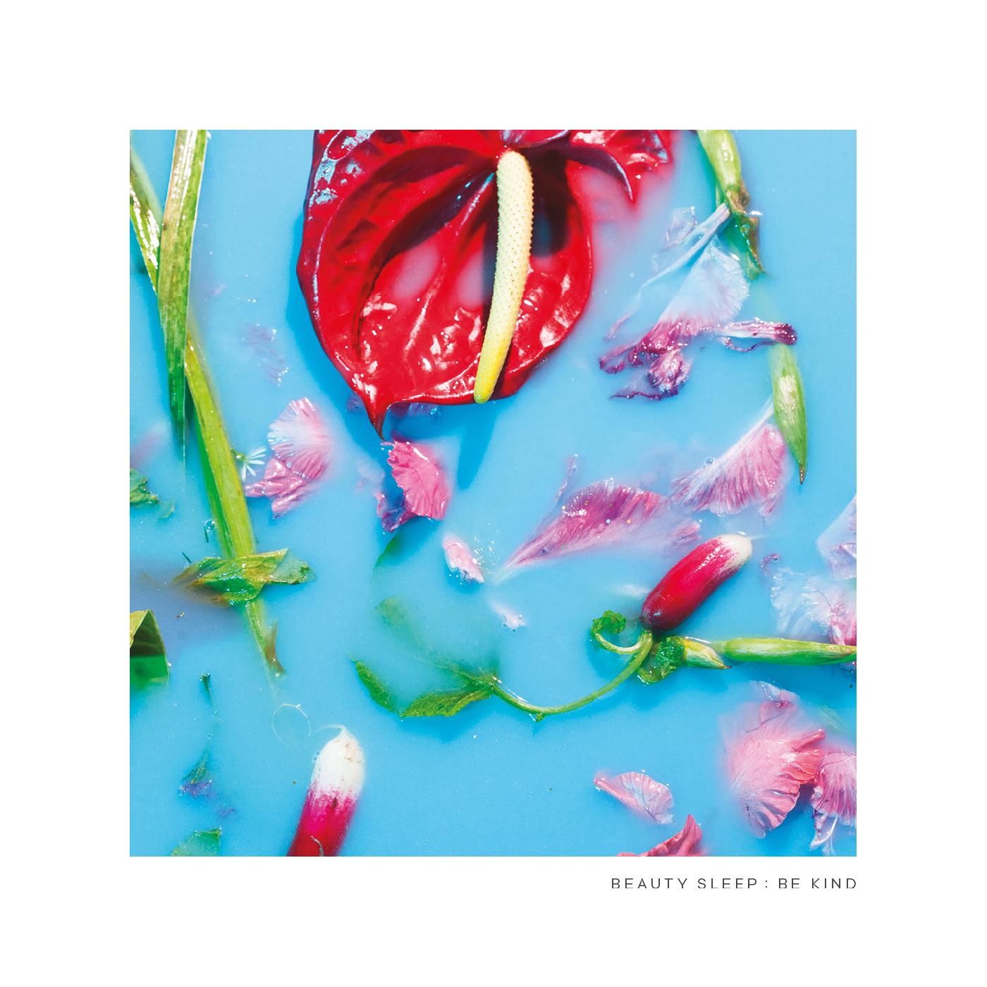 Be Kind Music CD