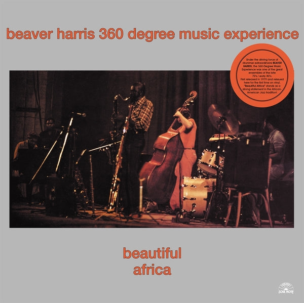 Beautiful Africa Vinyl Record