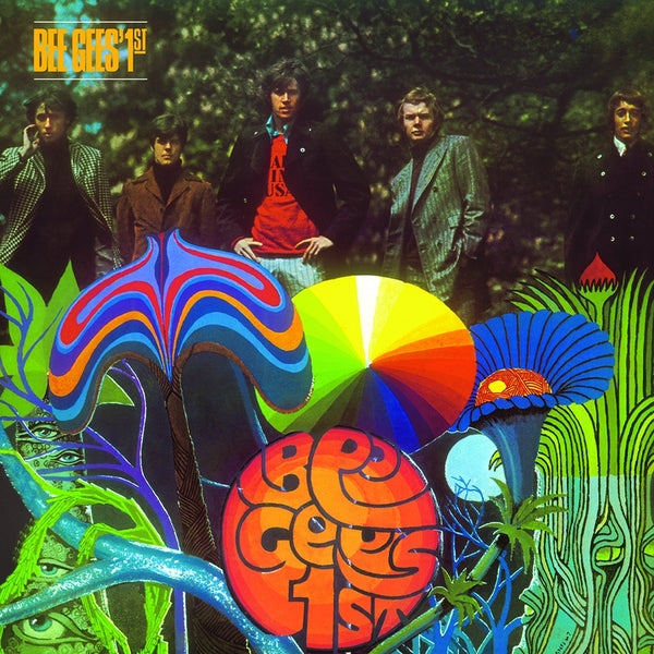 1st Vinyl Record
