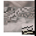 Moments in Shapeshifting |