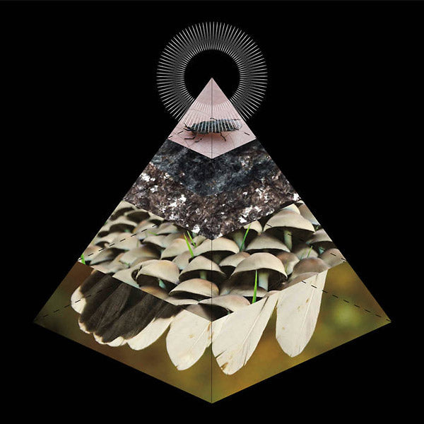 Apophenia Vinyl Record