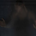 The Wasp Factory Music CD