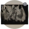 Amorosa Sensitiva Vinyl Record