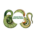 Remixes From Memory |