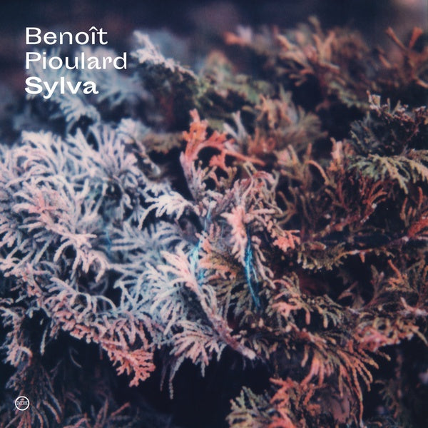 Sylva Music CD