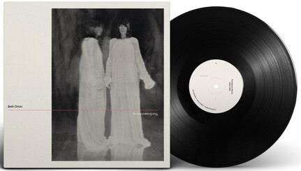 Beth Orton - The Ground Above Vinyl Record