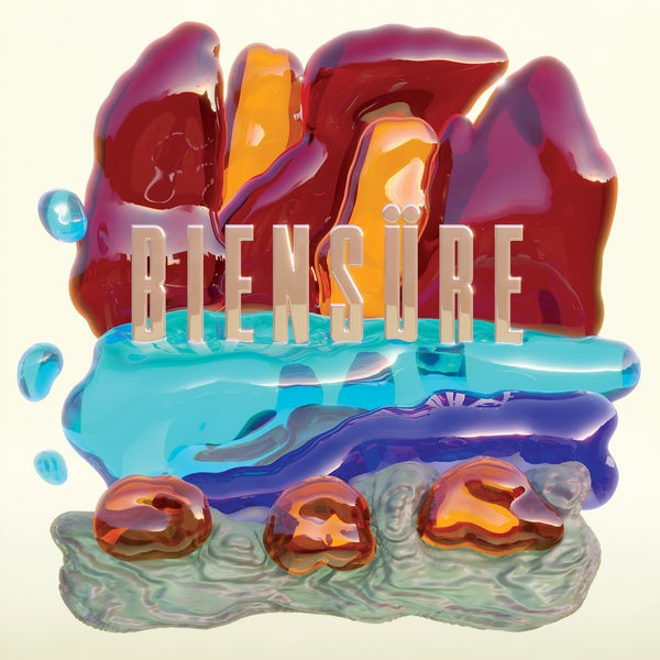 Biensure Vinyl Record