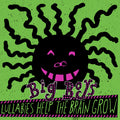 Lullabies Help The Brain Grow Vinyl Record