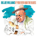 If You Ever Had The Blues Music CD