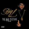 THE BIG PICTURE |