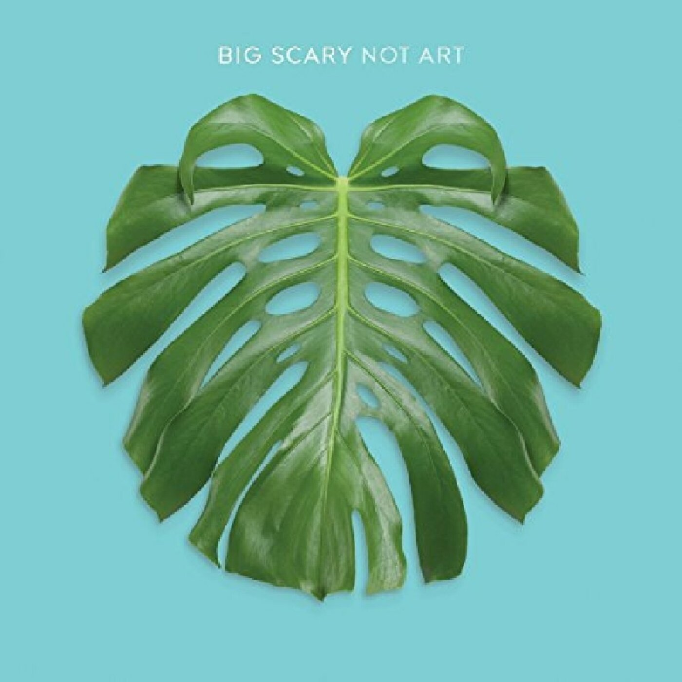 Not Art Vinyl Record